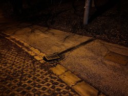 Photo of this report