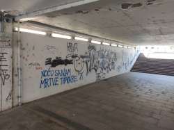 Photo of this report