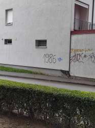 Photo of this report