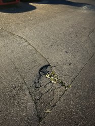 Photo of this report