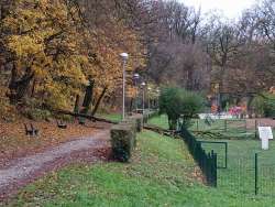 Photo of this report