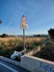 Photo of this report