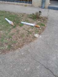 Photo of this report