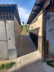 Photo of this report