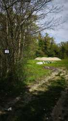 Photo of this report