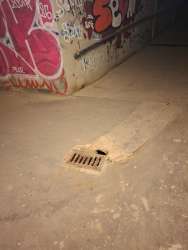 Photo of this report