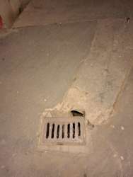 Photo of this report