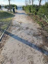 Photo of this report